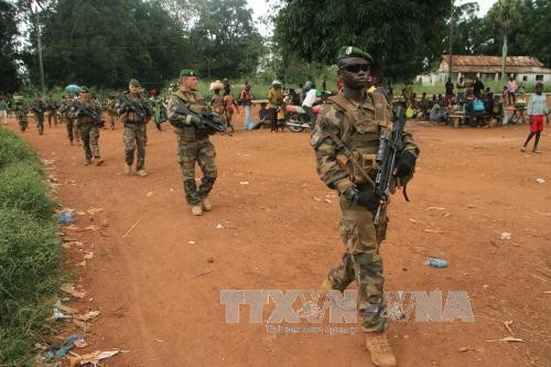 France ends military mission in Central African Republic - ảnh 1